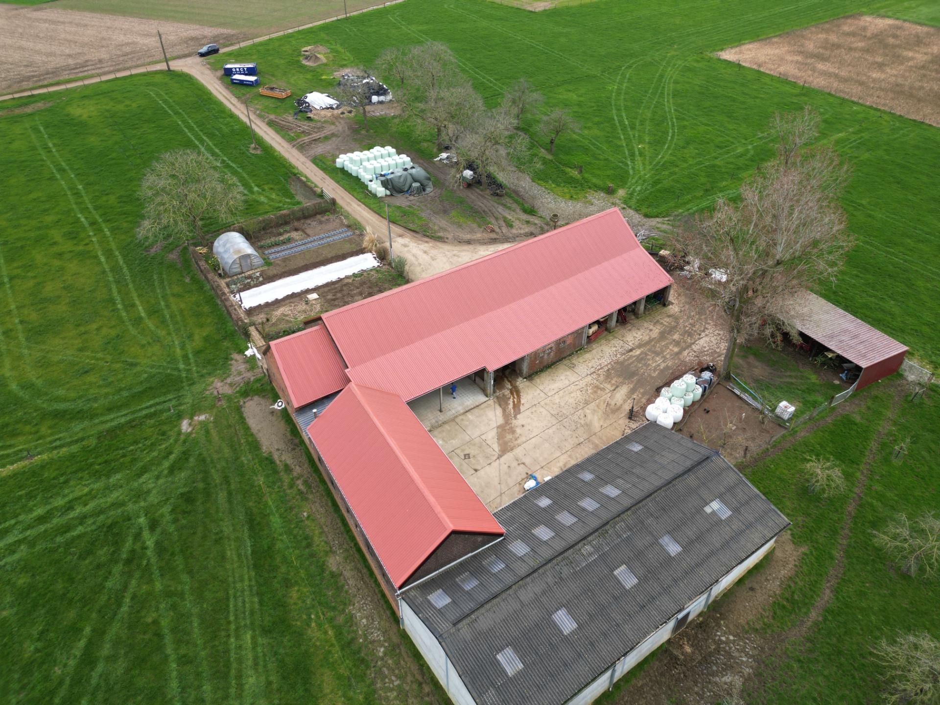 Dji fly 20240314 151402 82 1710400440753 photo
